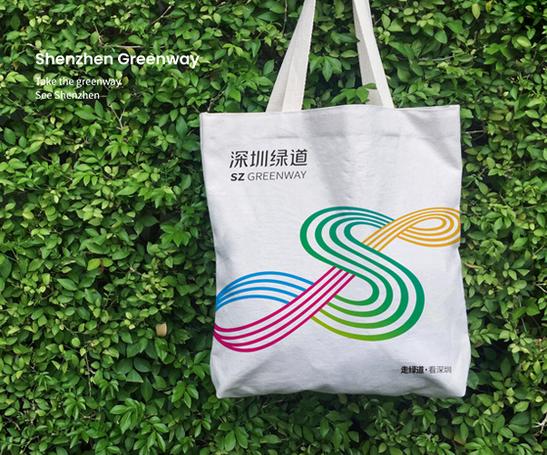 蒙特利爾拉辛運河4.0經濟發展中心的品牌塑造