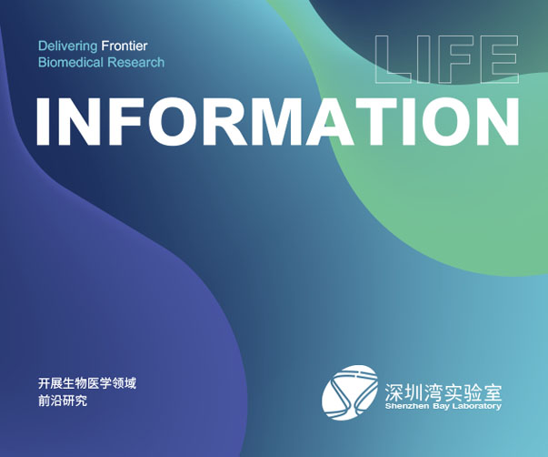 上海餐飲品牌如何通過策劃與設(shè)計吸引客戶注意力