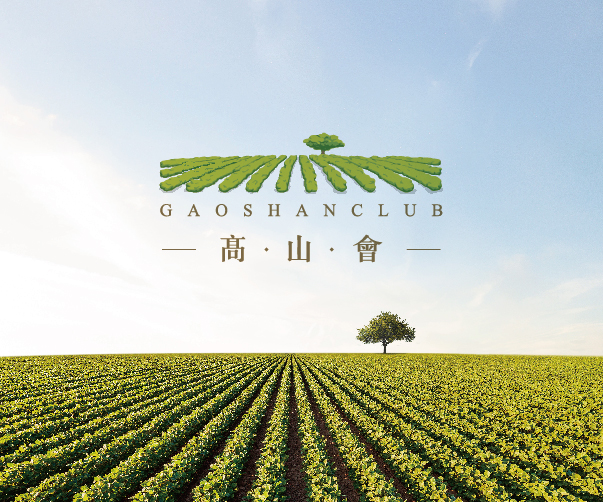 上海vi設計師工資水平如何？